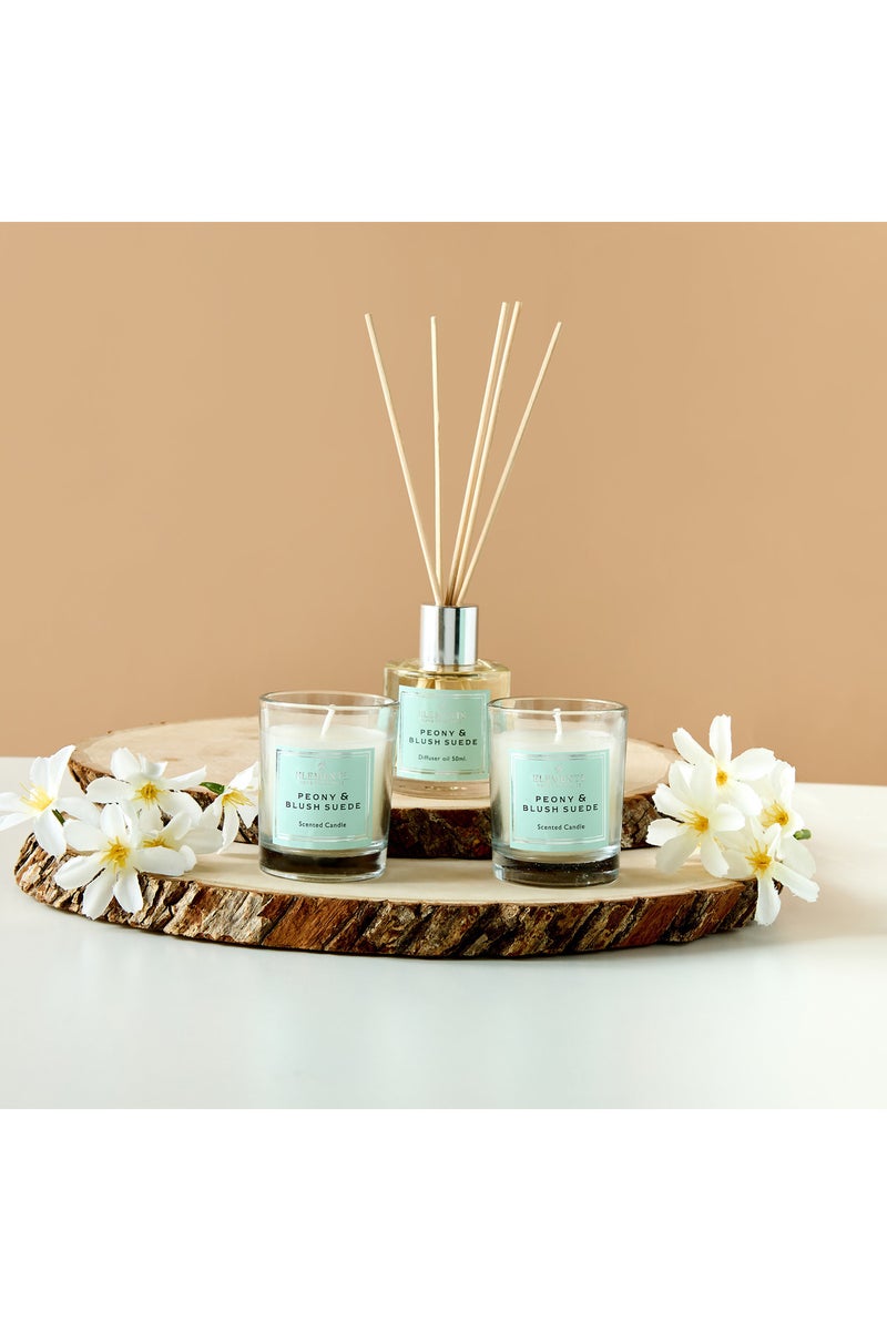 LIFESTYLE طقم هدايا مكون من 3 قطع من معطر الهواء بالقصب وزجاجة الشمع بوني وبلش سويد - Image 1